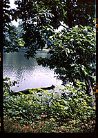 Campus Lake S.I.U.C.