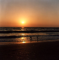 Sunset: St.Pete Beach