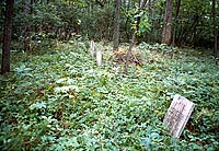 Rows of Gravesites