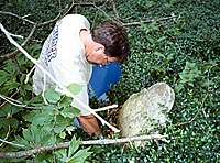 Shaun Bruner at a Site